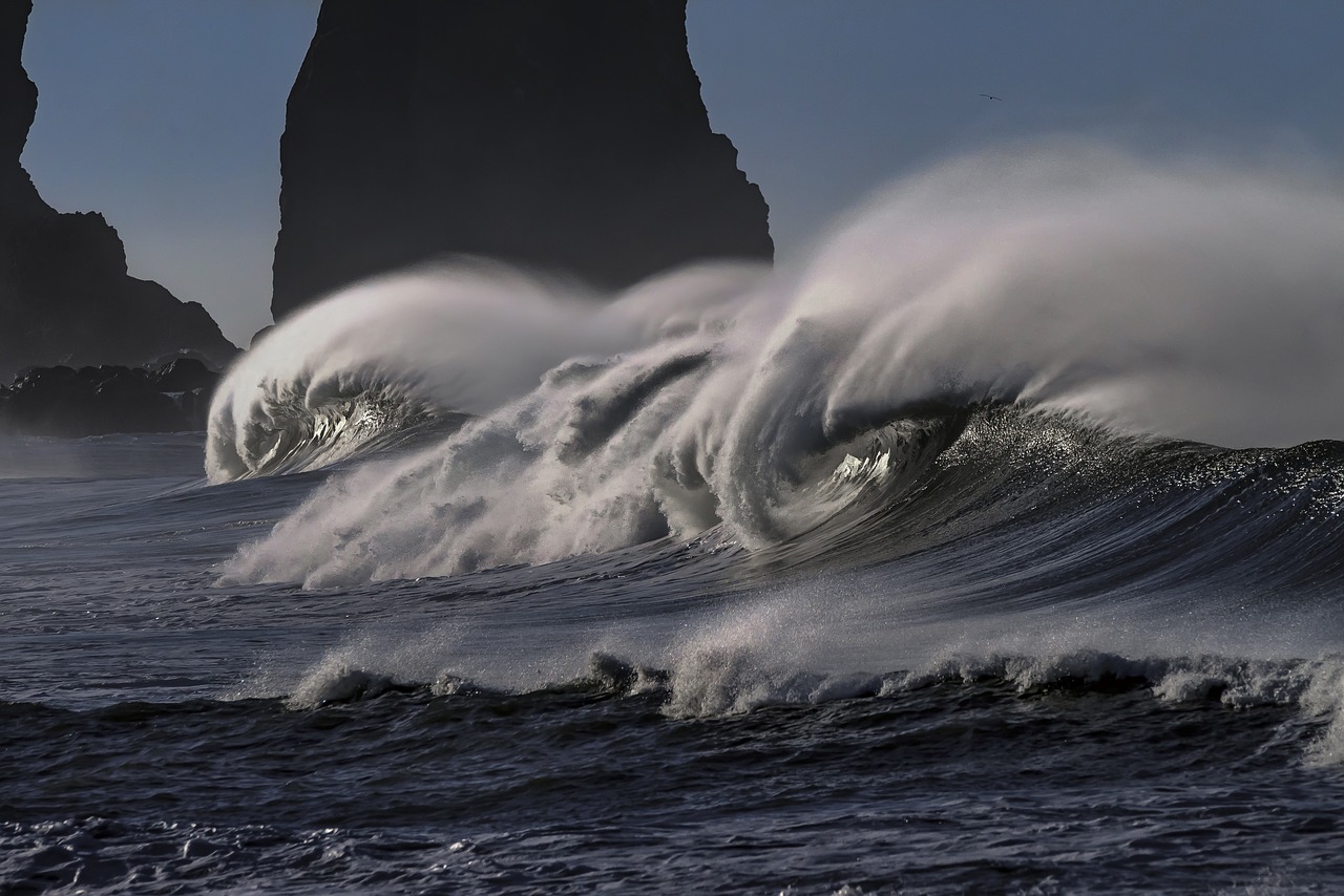 Recomendaciones para fotografía en movimiento