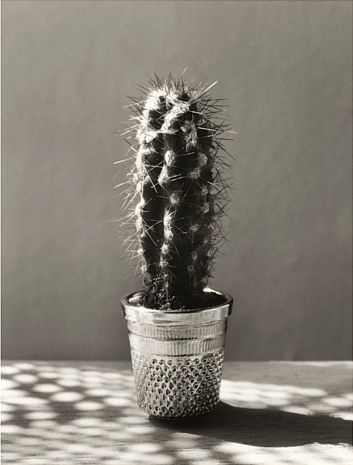 Chema Madoz