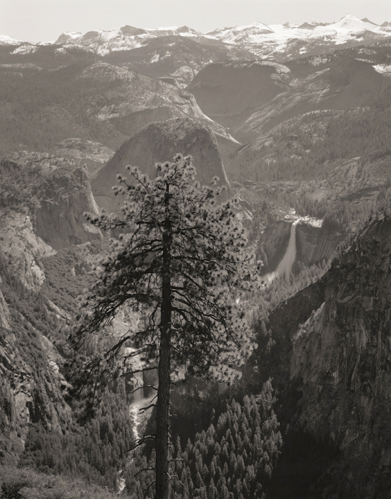 Ansel Adams, Photographer